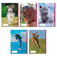 Livepac-Office 5 verschiedene Herlitz Tier-Sammelmappen / DIN A3