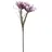 Europalms Magnolienzweig (EVA), violett