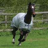 Bucas Power Turnout Light Classic 0g - Silver - Regendecke