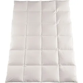 Haeussling Häussling Daunenliebling Kassettenbett warm 155x220 cm - Weiß