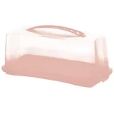 Rotho Fresh Kuchenbehälter mit Haube und Tragegriff, lebensmittelechter Kunststoff (PP) BPA-frei, pink, (36.0 x 16.5 x 16.5 cm)