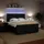 vidaXL Boxspringbett 180 x 200 cm Schwarz