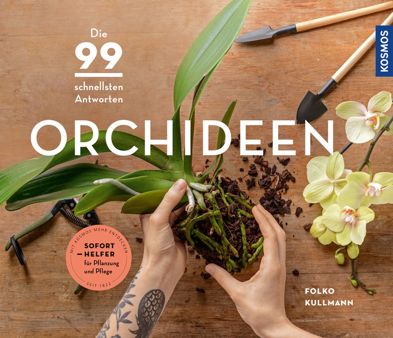 Orchideen - Folko Kullmann, Kartoniert (TB)