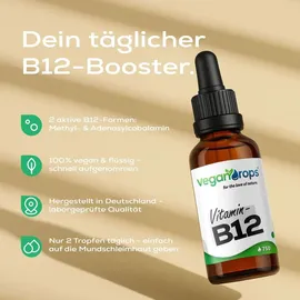 vegan drops Vitamin B12 Tropfen 750 St.