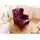 Massivmoebel24 Ohrensessel Chesterfield Leder 88 x 105 x 81 cm Rot