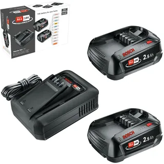 Starter-Set 2 x 2,5 Ah 1600A031T5