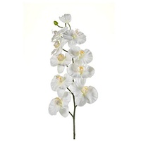artplants.de Künstliche Blume Phalaenopsis Orchideen Zweig ANAT, Creme, 100cm