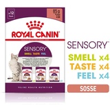 Royal Canin Sensory Multipack in Soße 12 x 85 g