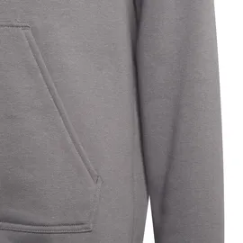 adidas Entrada 22 Sweatshirt Grau 116