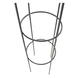 CLP Rosensäule Romantika V2 38 x 190 cm Schwarz