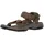 dark olive/desert palm 42