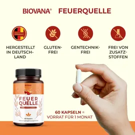 biovana Feuerquelle Kapseln 60 St.