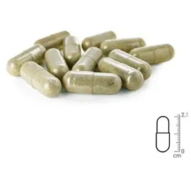 reavet Wormwood Mix Kapseln 50Stk