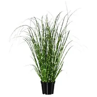 Gasper Zebragras Miscanthus im Topf H. 42cm grün