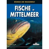 Paulsen Fische im Mittelmeer