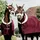 Kentucky Abschwitzdecke Fleece Show 'heavy' Bordeaux 155-205 cm