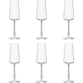 Stölzle Power Champagnerglas 0,24 l 6er Set