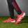 adidas Predator Elite FG Herren Lucid Red/Cloud White/Core Black 41 1/3