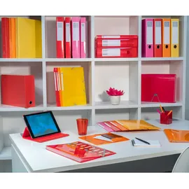 Exacompta Transferbox aus Karton, Rücken 90mm, 25x33cm für DIN A4 - Iderama