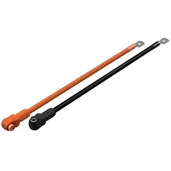 Pytes Batterie zu Wechselrichter Kabelsatz 2 Meter M10 Positiv/Negativ für 48100R-C