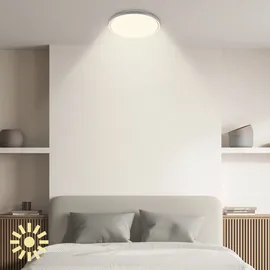 Briloner LED Deckenlampe 1 dimmbar Ø 49,5 cm anthrazit