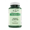 Acerola 500mg pur