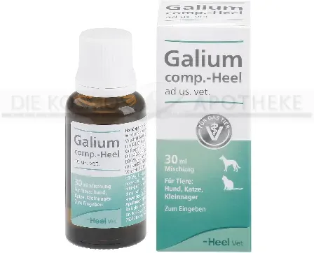 GALIUM COMP.-Heel ad us.vet.Tropfen 30 ml