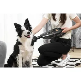 Concept VP4353 schwarz