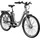 2021 26 Zoll RH 46 cm Damen grau
