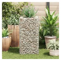 vidaXL Gabionen-Hochbeet 50 × 50 × 100 cm