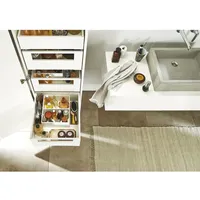 Blum SPACE TOWER LEGRABOX pure mit Reling NL500 KB600,