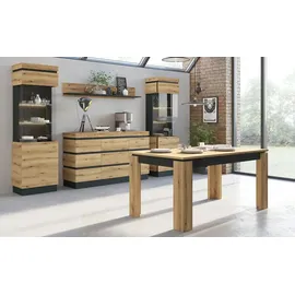Möbel Boss Vitrine Corte 60 x 40 x 201 cm Mehrfarbig