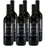Azienda Vinicola Torrevento s.r.l. Primitivo Puglia IGT 6 x 0,75 l