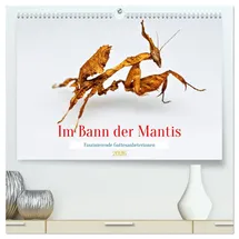 Calvendo Im Bann der Mantis (hochwertiger Premium Wandkalender 2026 DIN A2 quer), Kunstdruck in Hochglanz