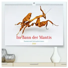 Calvendo Im Bann der Mantis (hochwertiger Premium Wandkalender 2026 DIN A2 quer), Kunstdruck in Hochglanz