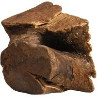 Jack UND VANILLE, 100% natürliche Baumwurzel, vielseitig in Aufguss und Abkochung, gesundheitliche Vorteile, ökologische Verpackung, kontrollierte Herkunft, Größe M, natürliche, All-Nature-Modell