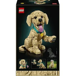 LEGO ICONS Golden Retriever Welpe 11384