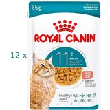 Royal Canin Ageing 12+ in Soße 24 x 85 g
