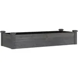 vidaXL Hochbeet mit Einsatz 120 x 45 x 25 cm Grau