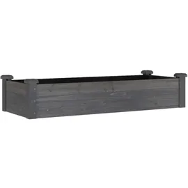 vidaXL Hochbeet mit Einsatz 120 x 45 x 25 cm Grau