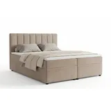 Deine Möbel 24 Boxspringbett RICK 120 x 200 cm H3 Beige