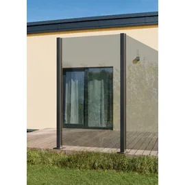 BM Massivholz Zaun Hauptelement Vidrio 120 x 180 cm Grau/Glas