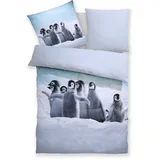 my home Bettwäsche Lyki, Microfaser, 2 teilig, ab Größe 135x200 cm, 100% Polyester, Katze, Pferd, Löwe, Pinguin schwarz