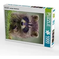 Calvendo Puzzle EIN Motiv aus dem Kalender Waschbär -