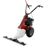 Eurosystems Minieffe  Mehrzweckgerät Balkenmäher  B&S 450E