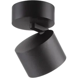 neuhaus pure Paul Neuhaus 1 Leuchtmittel schwarz