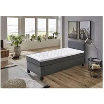 SUN GARDEN BX 1480 100 x 200 cm H2 grau