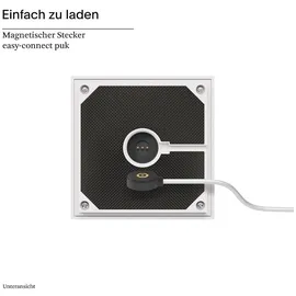 Sigor Nutalis Schneeweiß