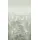 A.S. Création Vliestapete Wald Hirsch 10 m x 0,32 m 77069-1