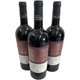 SASSEO Primitivo Salento IGT 2022 - Masseria Altemura - 3 x 0,75 Lit.